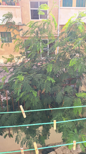 Others 4, Sweet Home Hostel - ممنوع للبنات فى الوقت الحالى, Al-Ghurdaqah