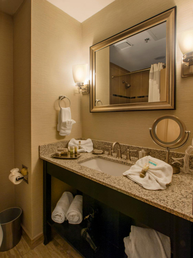 Bathroom 4, Hotel Ithaca, Tompkins