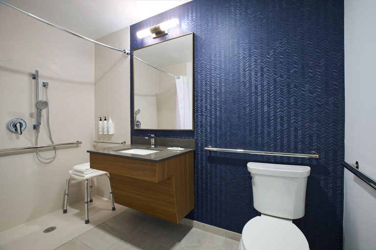 Bathroom 4, Fairfield Inn & Suites by Marriott Winchester, Frederick