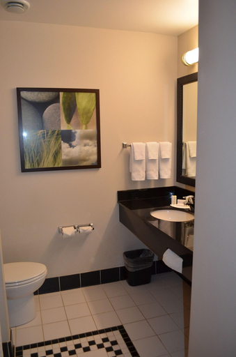 Bathroom 4, Fairfield Inn & Suites by Marriott Sault Ste. Marie, Algoma