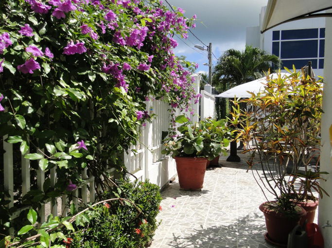 Others 5, Casa Loft, San Andrés