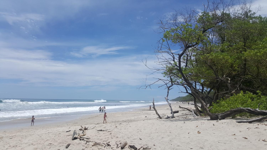 Others 5, Colibri Apartments - Private kitchen & bathroom - 4 min walk to the Beach!, Puntarenas