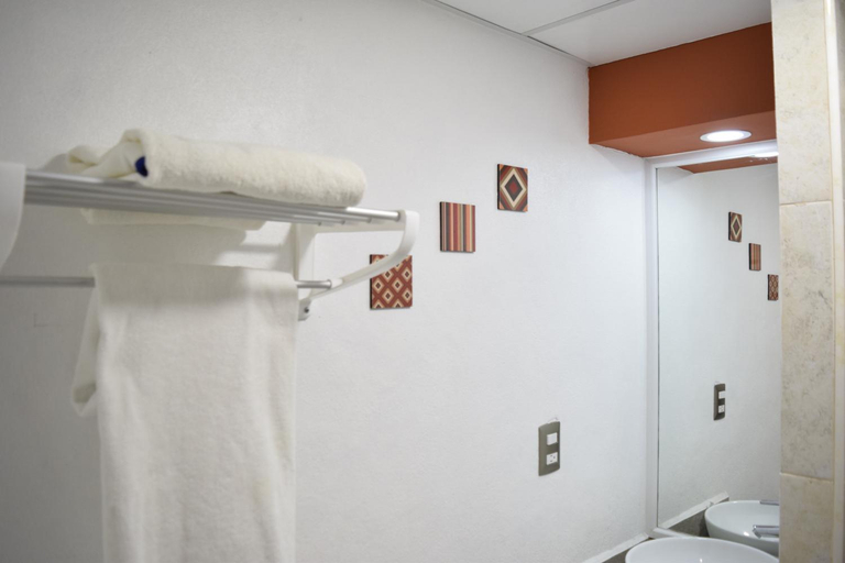 Bathroom 4, San Luis, San Luis Potosí