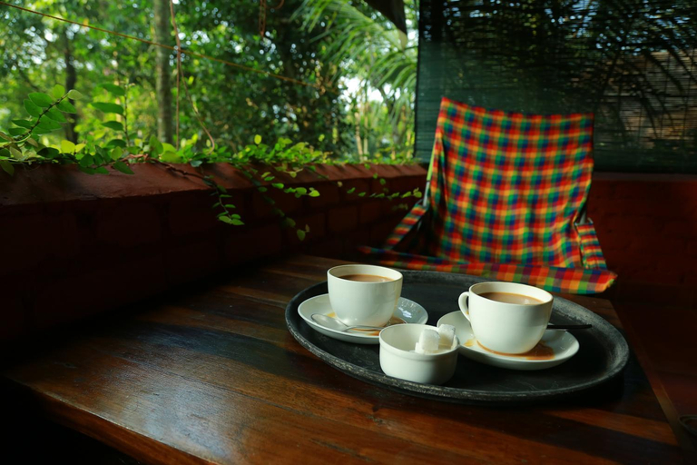 Food & Drinks 5, Grassroots Wayanad, Valley-View Tents, Wayanad