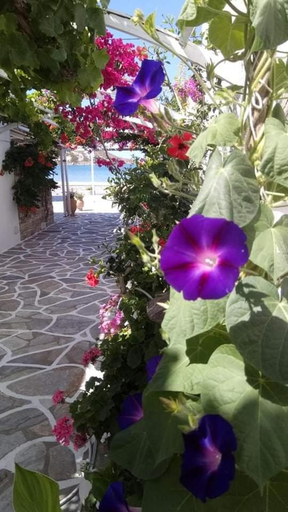 Others 5, Mare Monte, South Aegean