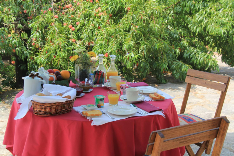Food & Drinks, Quinta de S.Vicente, Póvoa de Lanhoso