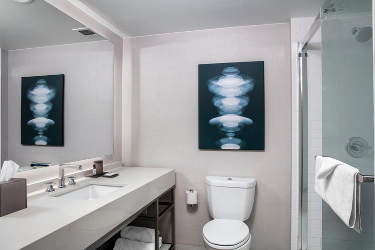 Bathroom, Hyatt Regency Birmingham-The Wynfrey Hotel, Jefferson