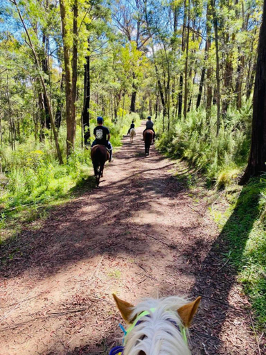 Others 5, Canyonleigh Retreat, Wingecarribee