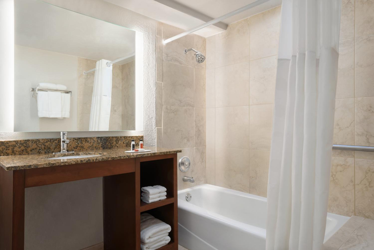 Bathroom 4, Wingate by Wyndham South Bend/Notre Dame, Saint Joseph
