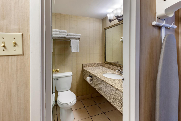Bathroom, Quality Inn & Conference Centre, Simcoe