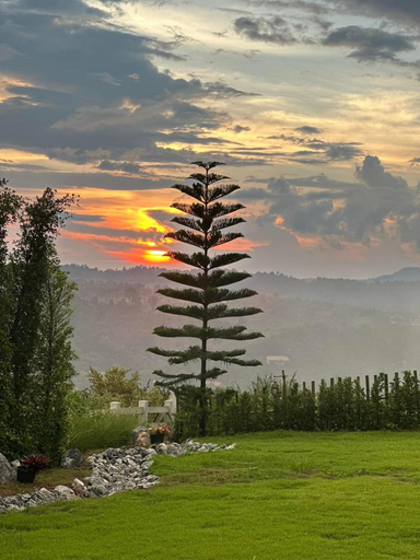 Others 4, Cirrus Valley Hill Resort, Khao Kho