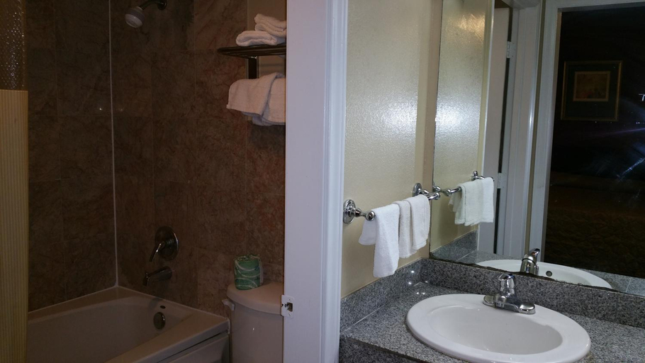 Bathroom 4, Executive Inn and Suites Waxahachie, Ellis