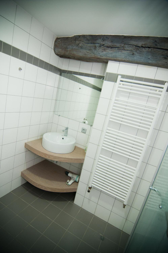 Bathroom 2, Apartment De Maasnacht, Limburg