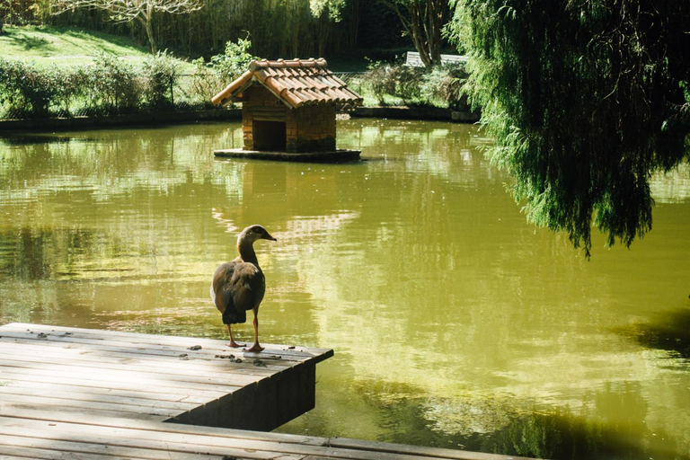 Others 3, Pousada Tucano Do Cuiaba, Petrópolis