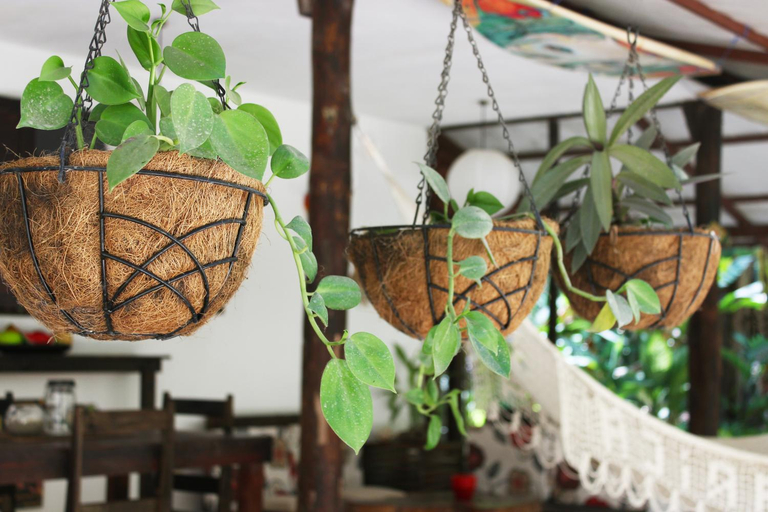 Food & Drinks, Colibri Apartments - Private kitchen & bathroom - 4 min walk to the Beach!, Puntarenas