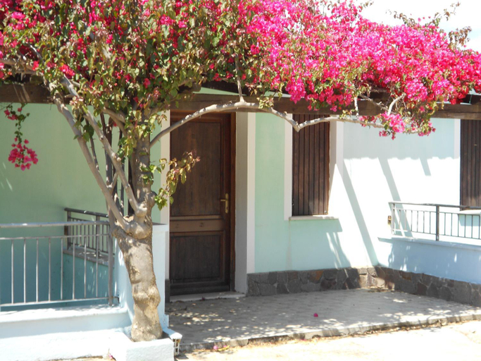 Others 5, La Corte Degli Ulivi, Ogliastra