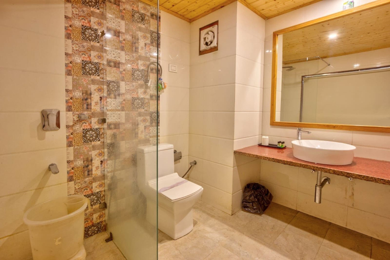 Bathroom, Hotel Grand Oasis, Kullu