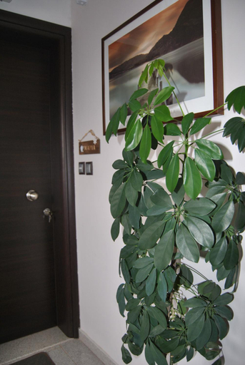 Others 5, Olympus House με μοναδικη θεα, Central Macedonia