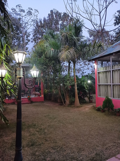 Others 5, Lilawati's Blue Fox, Kamrup Metropolitan