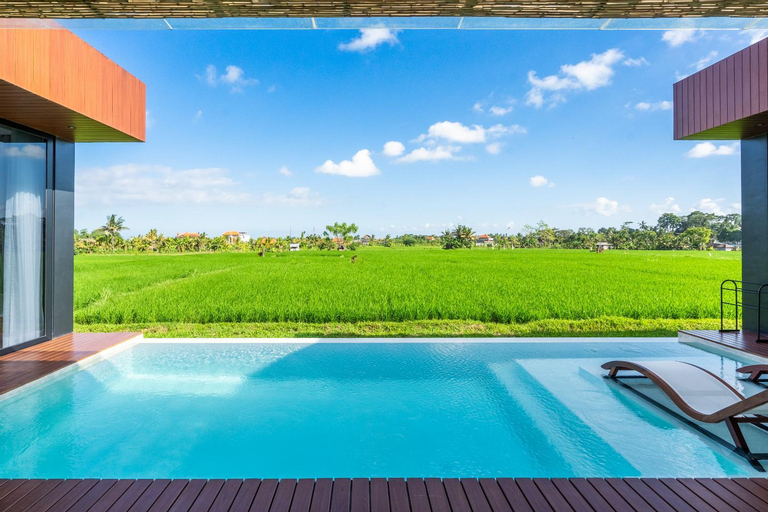 Swimming Pool 23