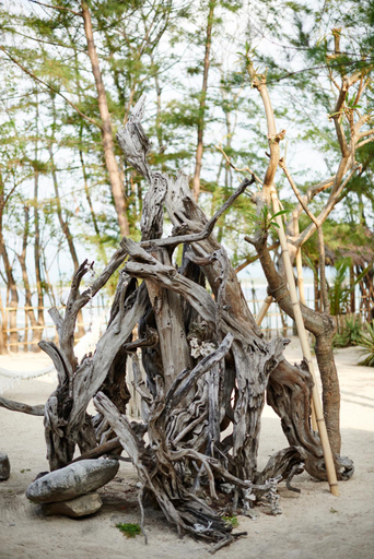 Food & Drinks 5, The Island Houses Gili Meno, Lombok
