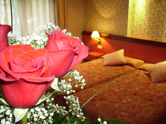 Bedroom 3, Hotel Jardín de Aranjuez, Madrid