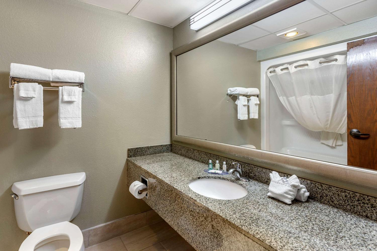 Bathroom 4, Quality Inn St. Robert - Ft. Leonard Wood, Pulaski