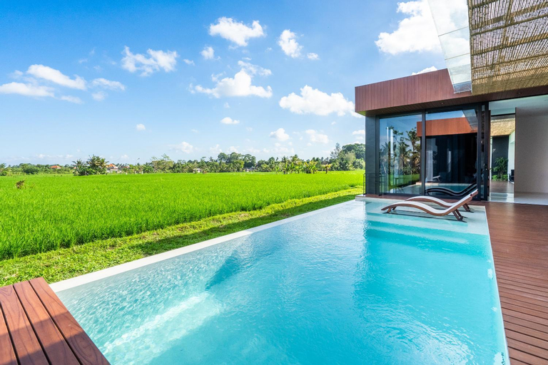 Swimming Pool 5