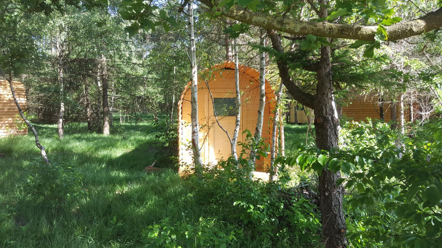 Others 5, Glamping Pod im Wald mit Einzelbetten, Cuxhaven