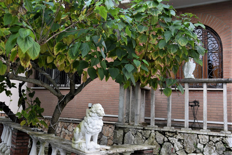 B&B Vittoria Colonna, Rome