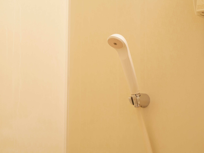 Bathroom 4, ecoHotel, Toyama