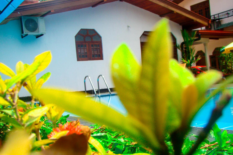 Exterior & Views 1, Sevonrich Holiday Resort, Dambulla