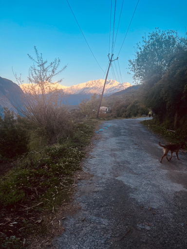 Others 4, Faraway Cottages, Chamoli