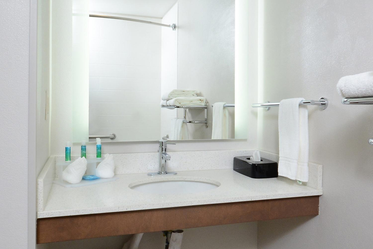 Bathroom 3, Holiday Inn Express Hotel & Suites Research Triangle Park By IHG, Durham
