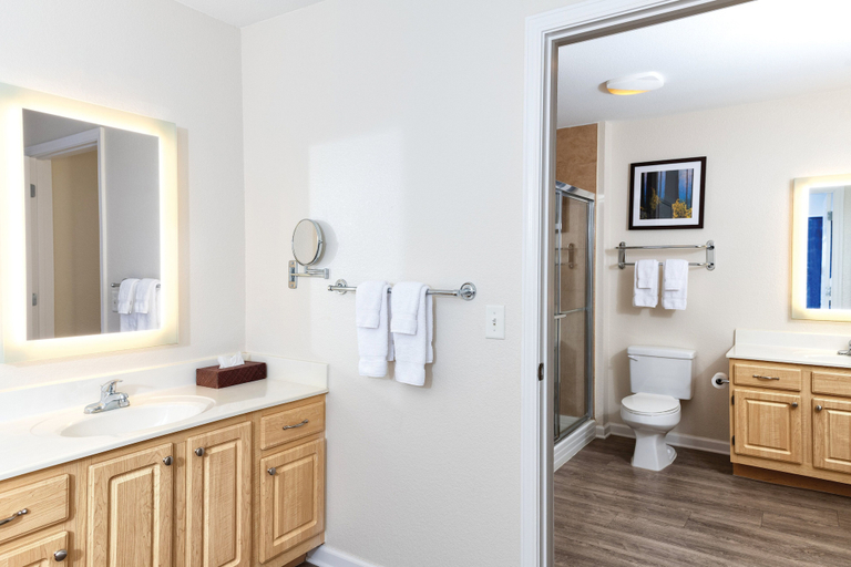 Bathroom 4, Club Wyndham Mountain Vista, Taney