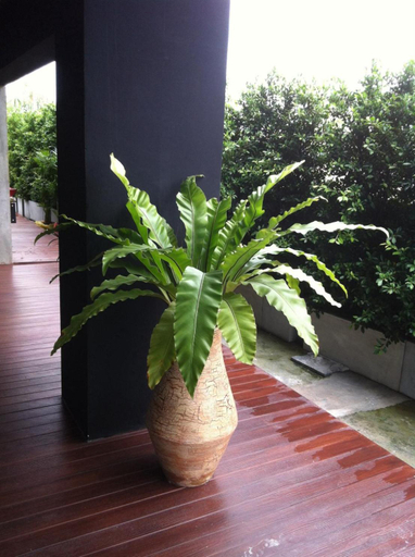 Others 5, The LogBook Room and Cafe, Muang Chon Buri