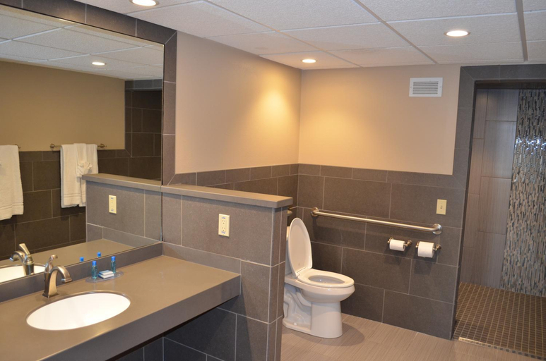 Bathroom 2, Crossroads Hotel and Event Center, Webster