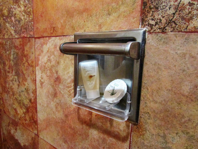 Bathroom 5, Best Western Hotel Posada Del Rio Express, Torreón