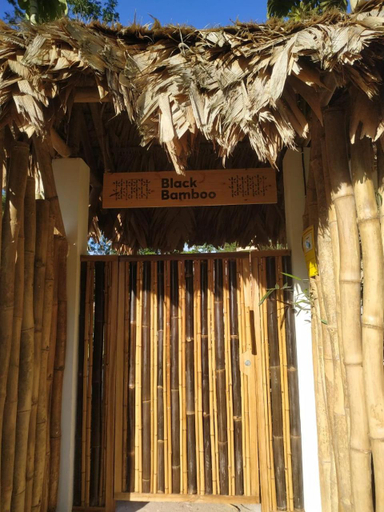 Others 4, Black Bamboo, Talamanca