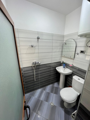 Bathroom 4, Hotel Osumi, Skraparit
