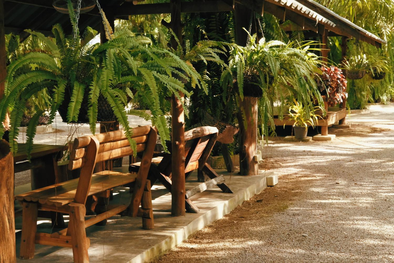 Food & Drinks 5, Le Pes Villas, Khanom