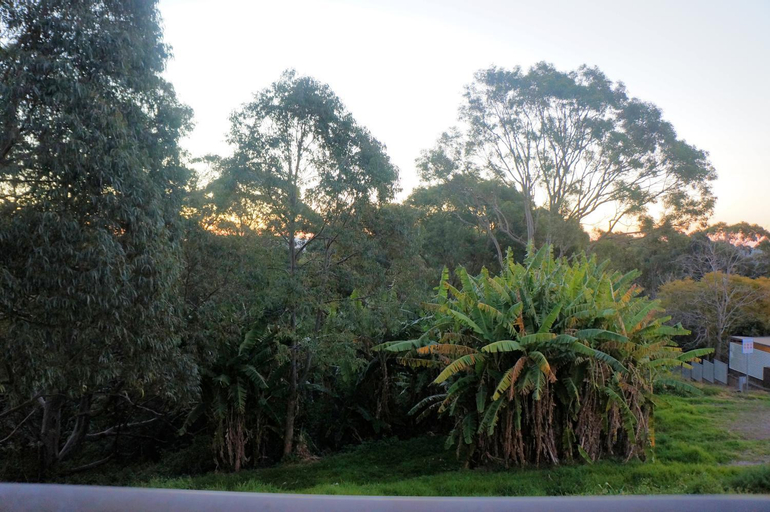 Scenery