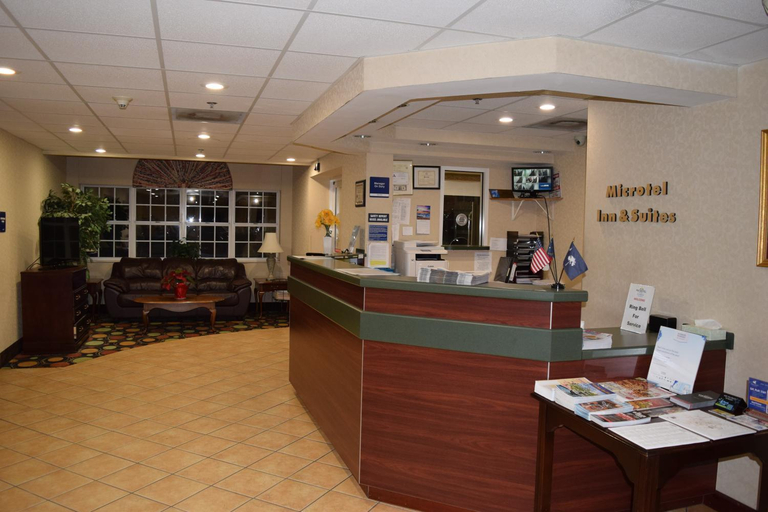 Public Area 2, Microtel Inn & Suites by Wyndham Rock Hill/Charlotte Area, York
