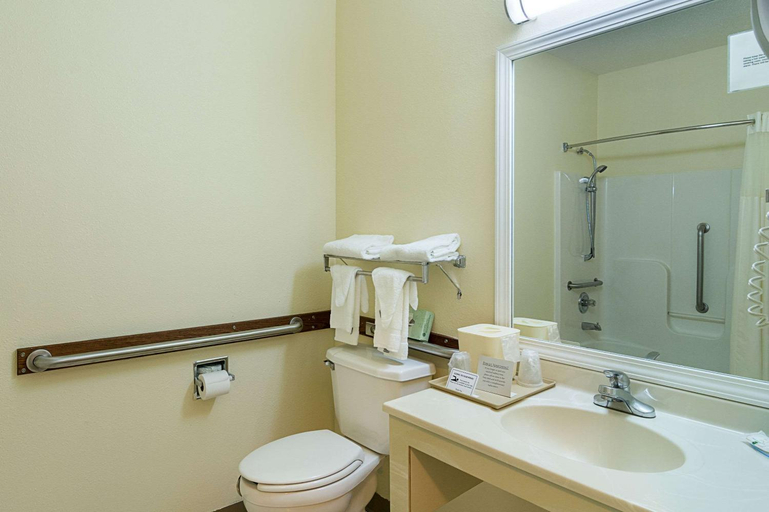 Bathroom, Quality Inn & Suites Harvey - Chicago Southland, Cook