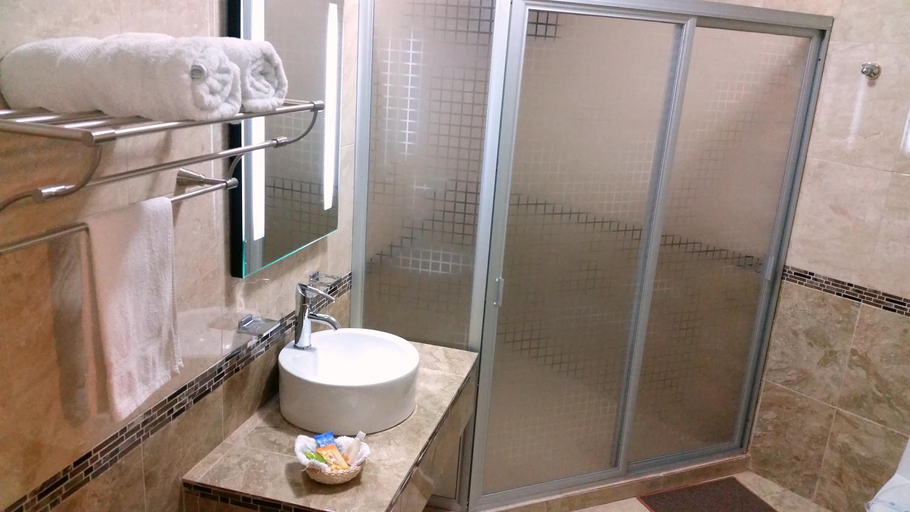 Bathroom 3, Hotel Villa Bernal, Ezequiel Montes