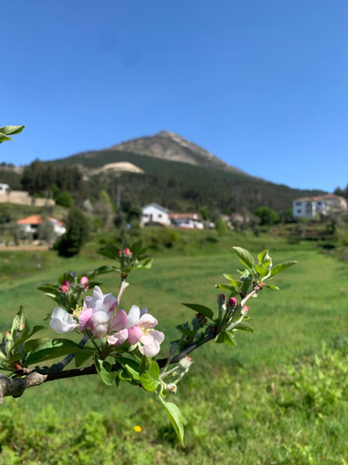 Others 4, Casa Pedravedra, Mondim de Basto