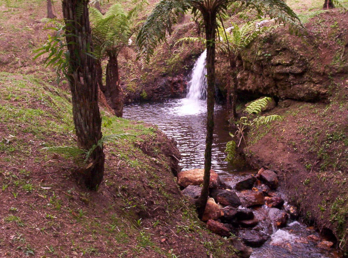 Others 4, Pousada do Morro Verde, Carvalhos