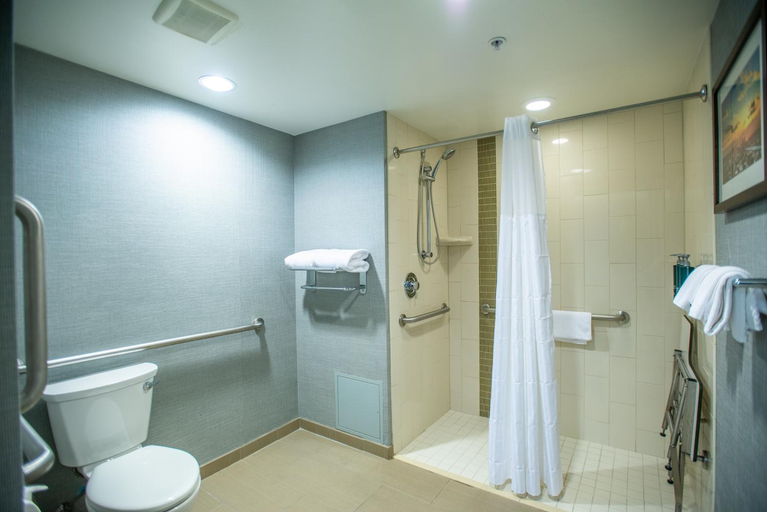 Bathroom 4, Doubletree by Hilton Asheville Downtown, Buncombe