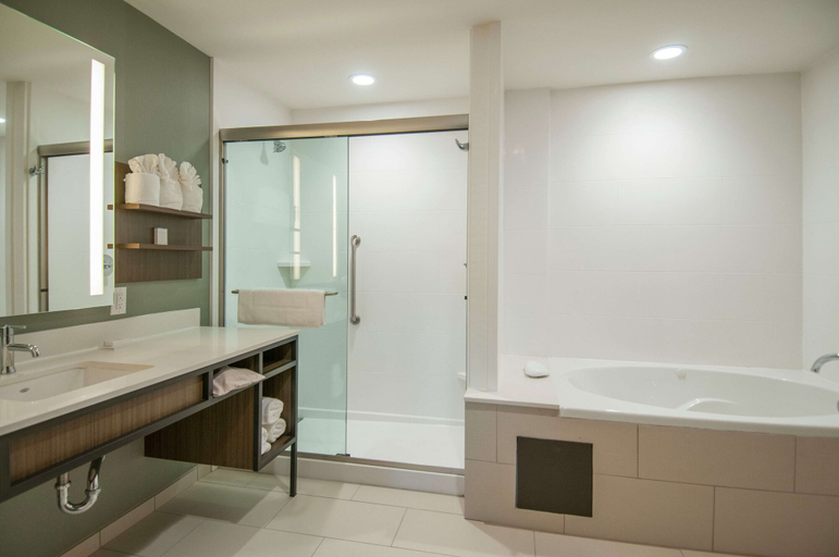 Bathroom 4, Hilton Garden Inn Jackson/Clinton, Hinds