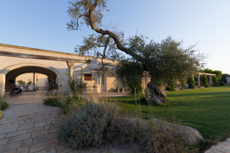 Others 4, Masseria Sorani, Taranto